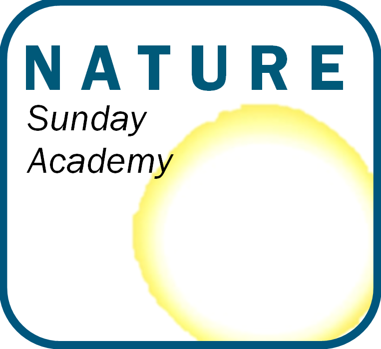 NATURE Sunday Academy